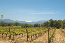 Spain-Catalonia-Mediterranean Spa & Wine Coast Trail